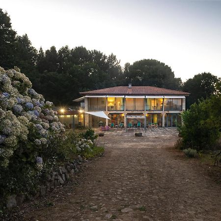 Braga House & Wine Villa Kültér fotó
