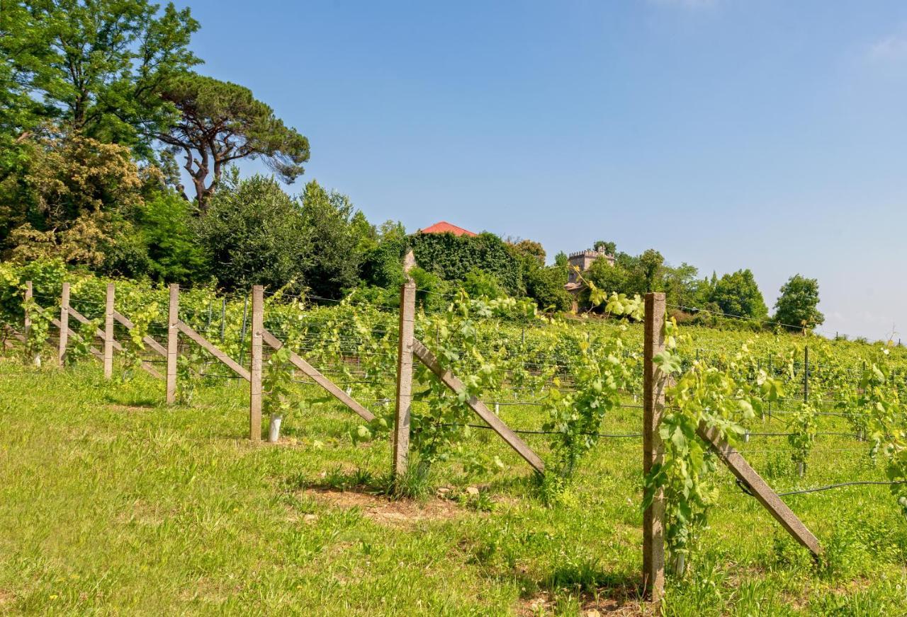 Braga House & Wine Villa Kültér fotó