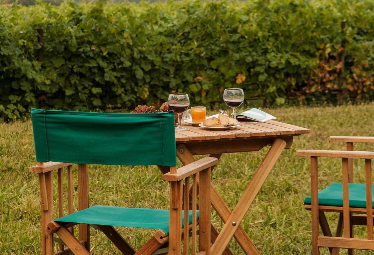 Braga House & Wine Villa Kültér fotó
