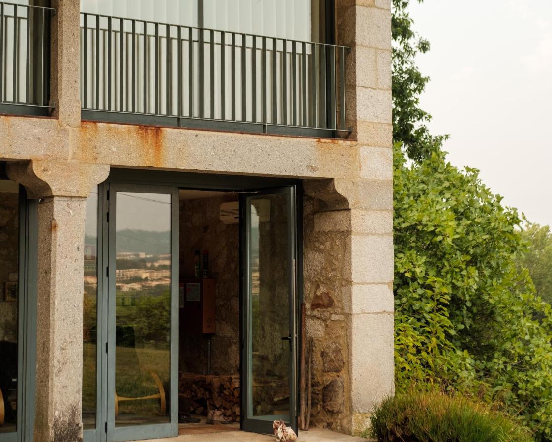 Braga House & Wine Villa Kültér fotó